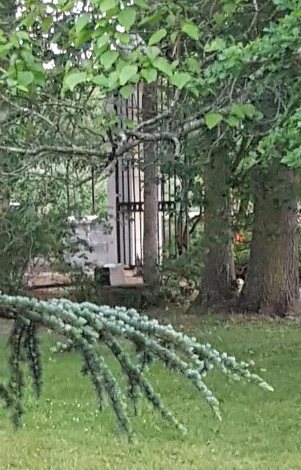Yvre-l'Eveque Bed & Breakfast | Manoir des Turets