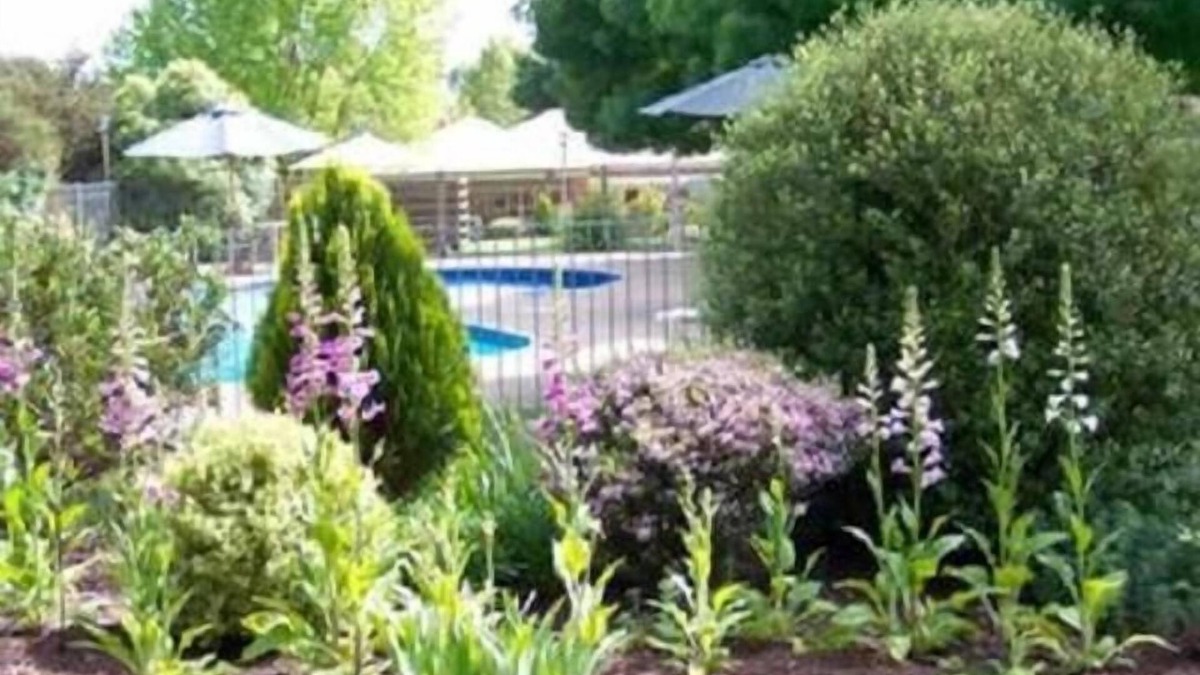Mansfield Hotel | Mansfield Valley Motor Inn