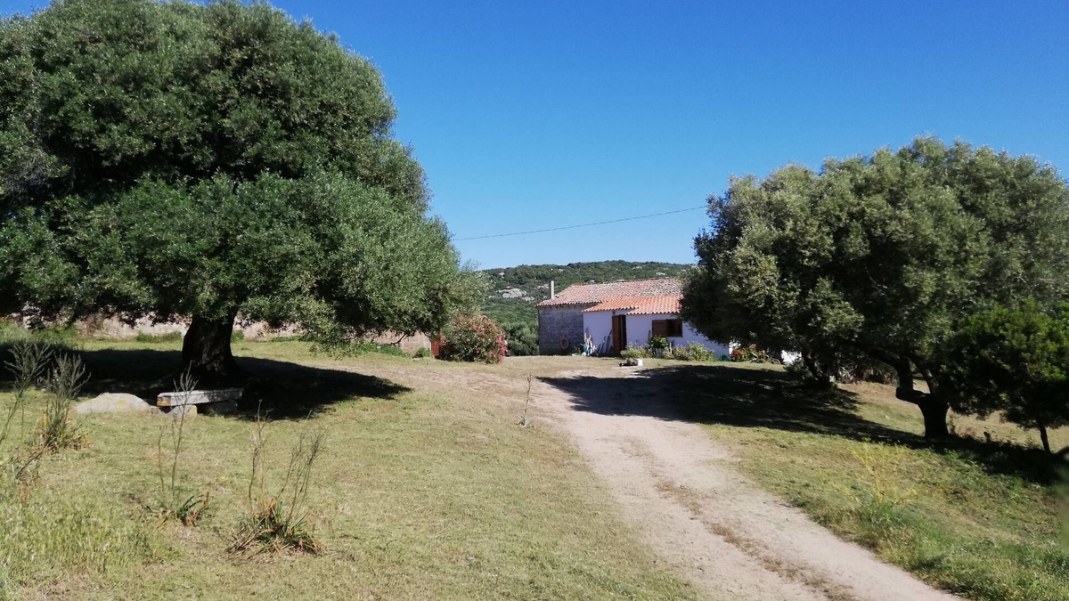 Luogosanto House | Mansion - Luogosanto - House with character in the countryside at 15km from all the beaches