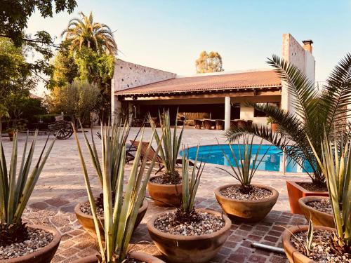 El Marques Bed & Breakfast | María & Bernardo Casa - Viñedo