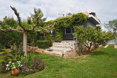 Schinias House | marathon family villa