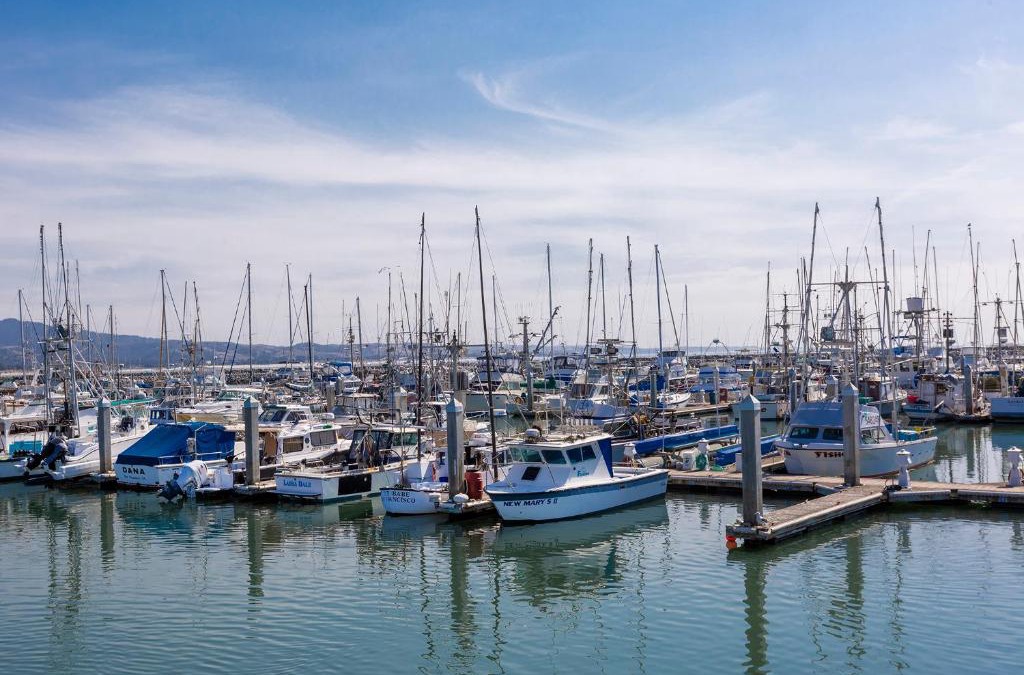 El Granada House | @ Marbella Lane Seaside Retreat, Walk to the Beach