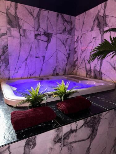 La Valette-du-Var Apartment | Marbella Logement privatif -Jacuzzi-Sauna