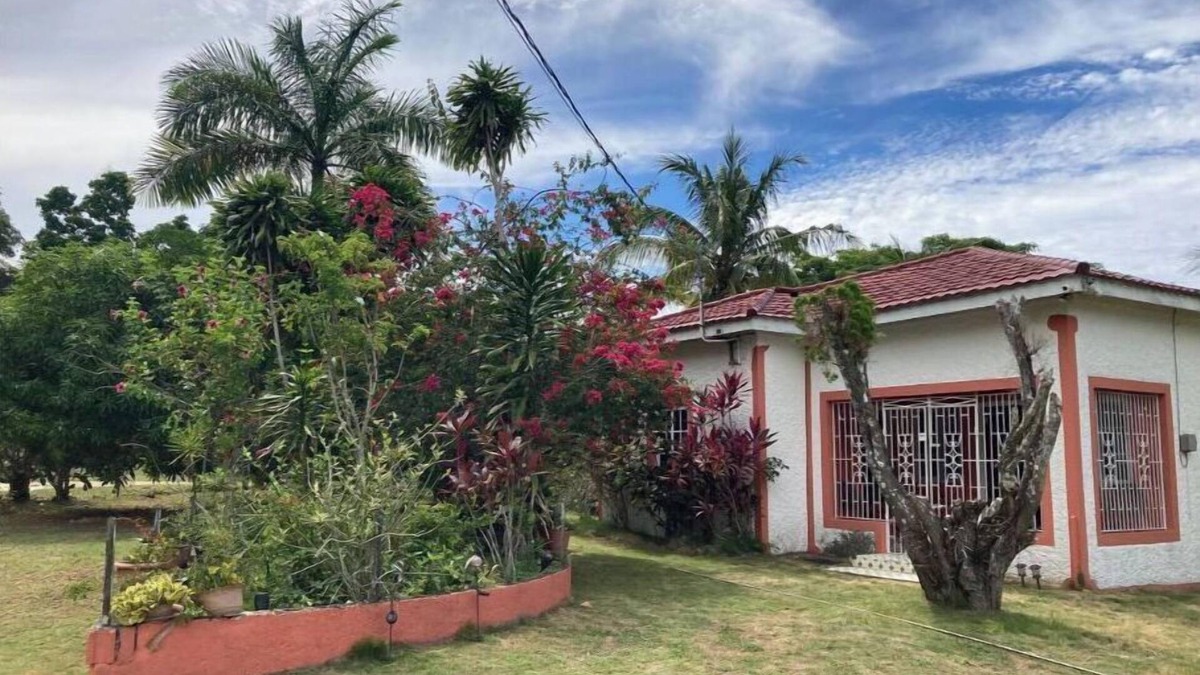 Ocho Rios House | Margaritas Place