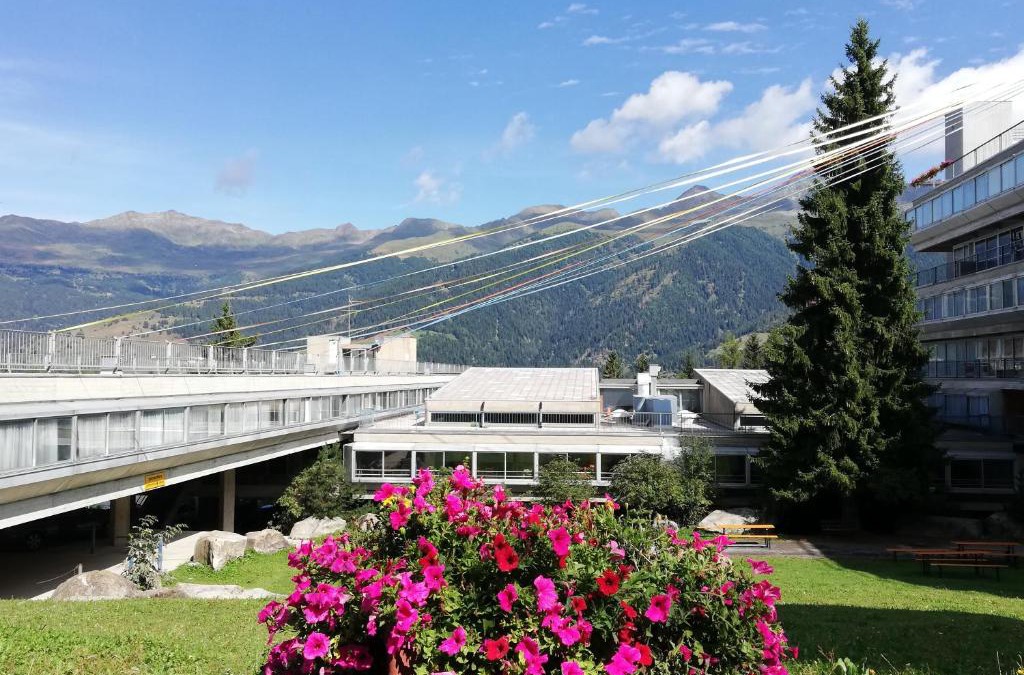 Marilleva 900 Apartment | Marilleva 1400 Appartamenti Montana