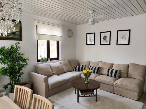 Lukecin Apartment | Maritima's Home