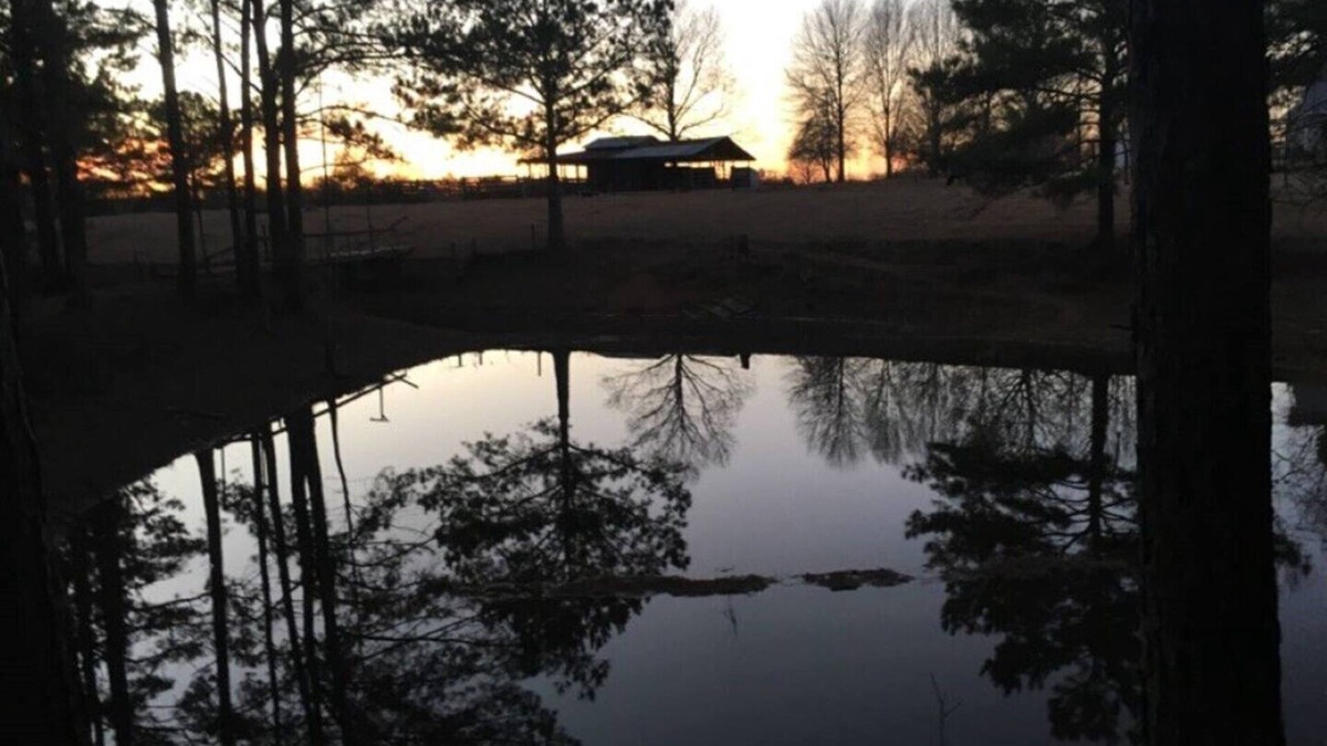 Tylertown House | Markham Place: Private Farm Fun!
