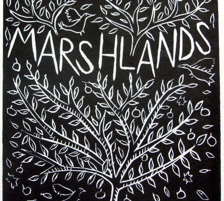 Lewes Apartment | Marshlands Apartment
