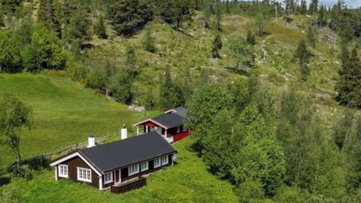 Hol Municipality Cabin | Marvelous 4-bedroom cabin all comfort 10 minutes drive to Norway best ski resort