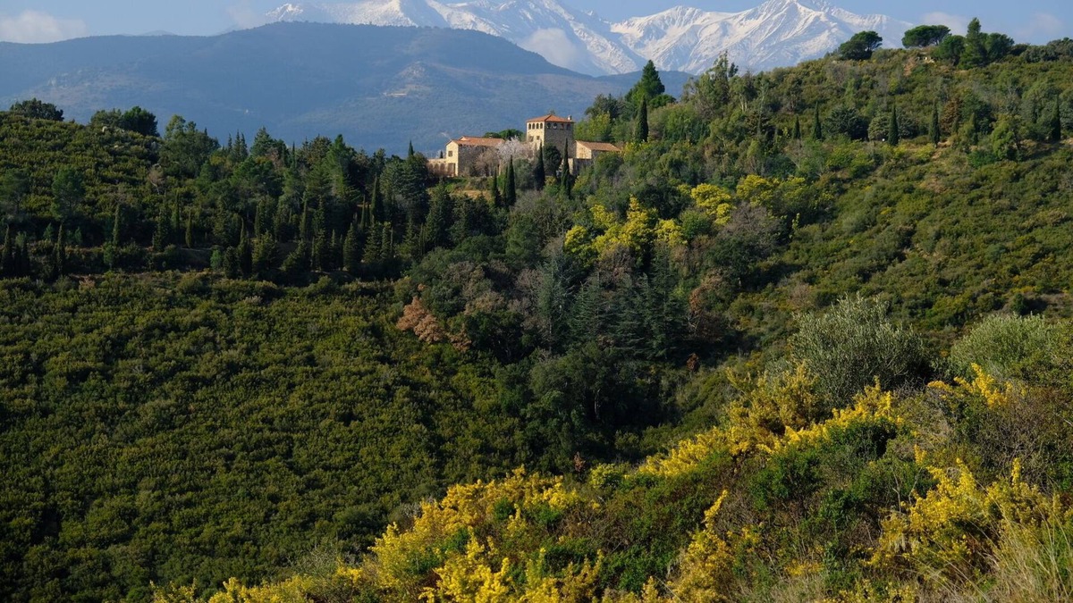 Castelnou House | Mas D'en Llinas
