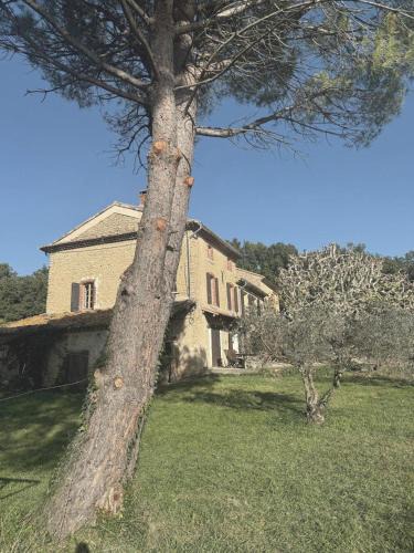 Sarrians House | Mas dans la campagne pour loisirs et télétravail
