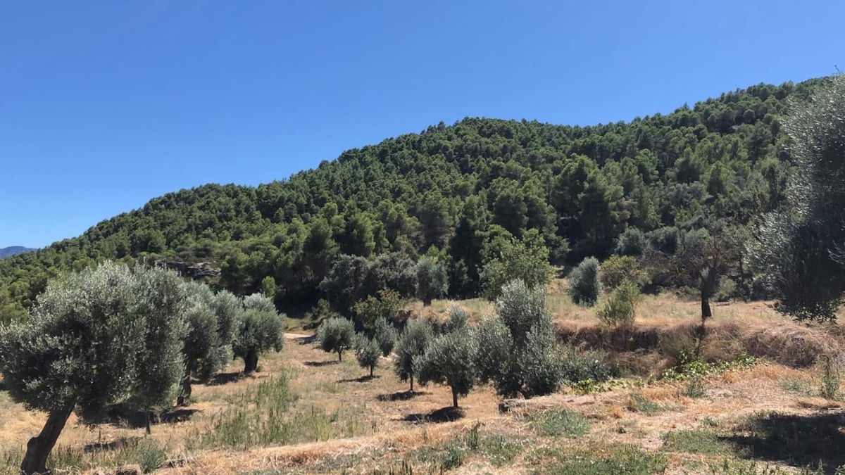 Valderrobres Cottage | MAS DE LA CREU MASIA