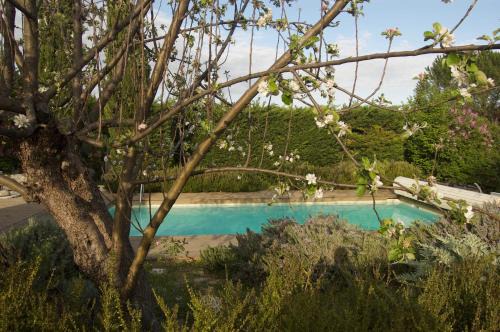 Manosque House | Mas de la Lézardière — Maison d'Artiste