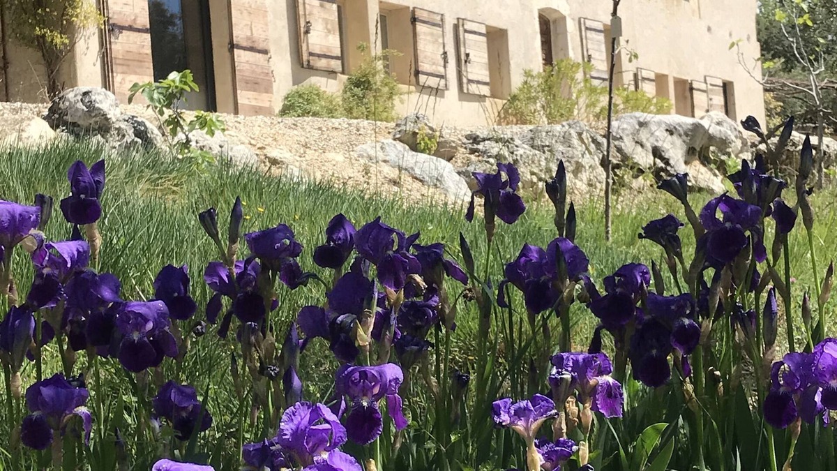 Saint-Saturnin-les-Apt Other | Mas in Provence with exceptional views of the Luberon