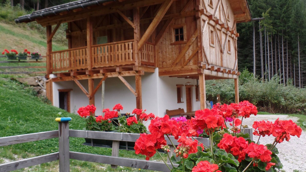 Bresimo Ski Chalet | MASET POZZATTI MOUNTAIN CHALET