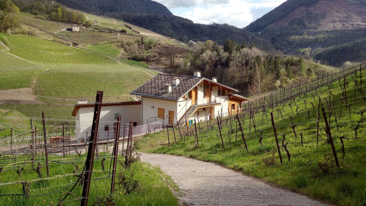 Cembra Other | Maso Besleri apartments in the vineyard with kitchen hall and terrace for events