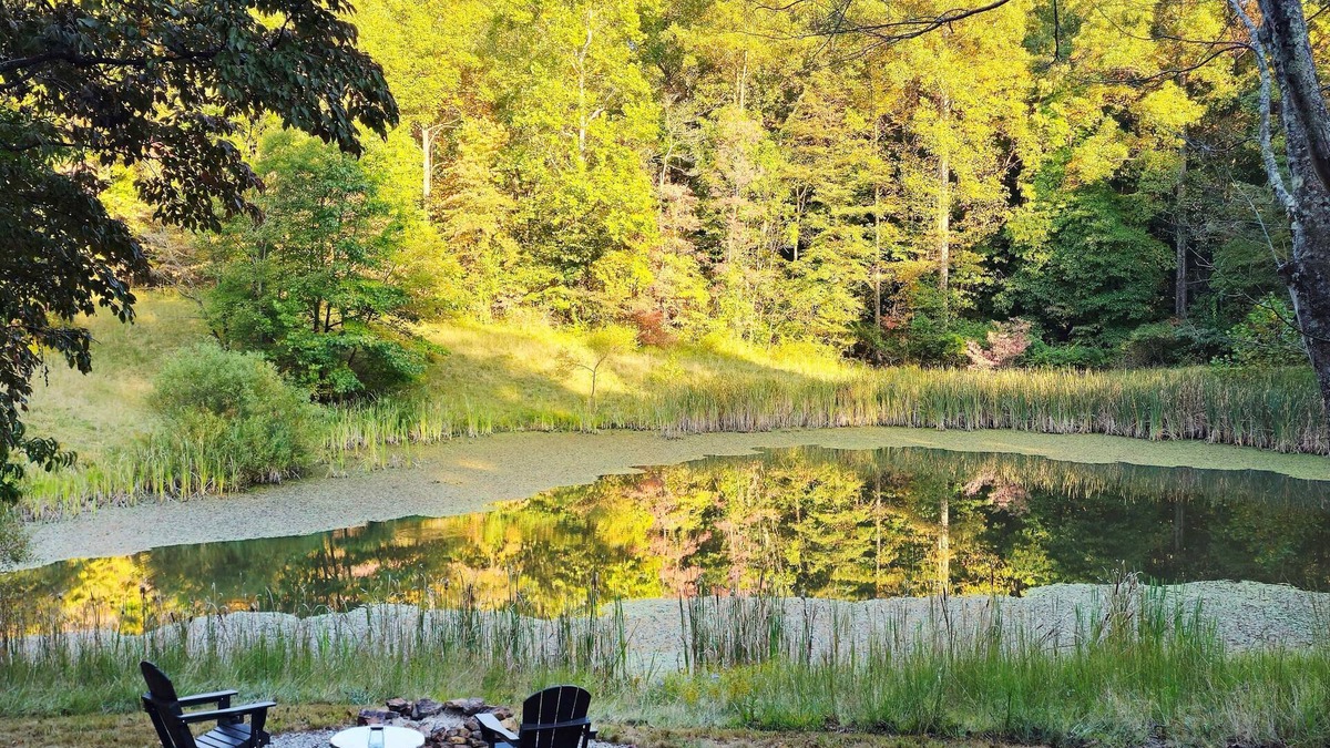 Laurelville House | Master Sculptor's Art Bungalow Hocking Hills