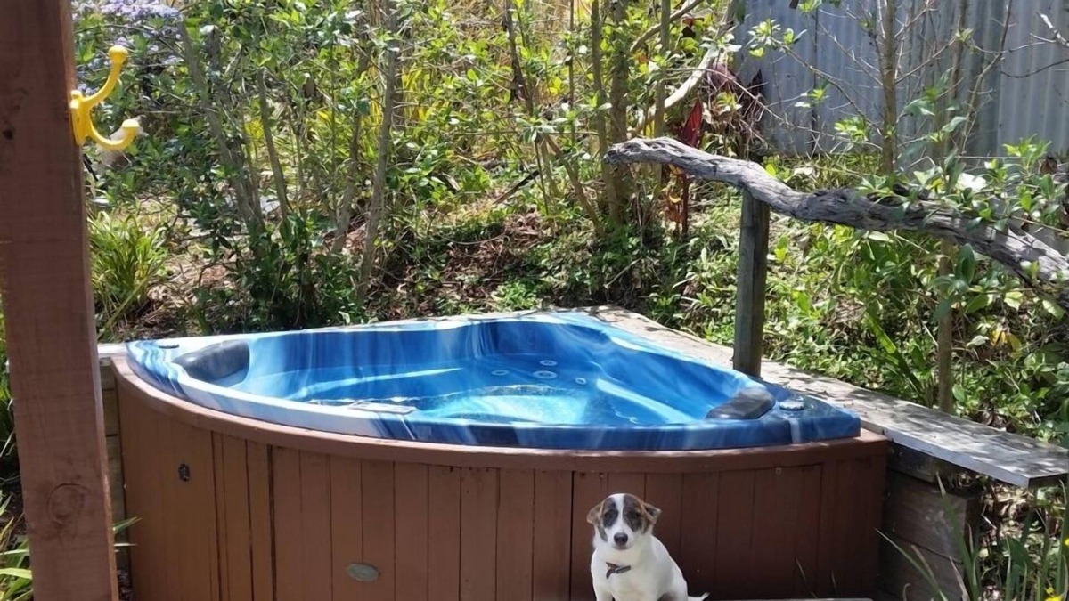 Whangaripo Ski Chalet | Matakana peaceful rustic retreat,soak in the secluded hot spa.