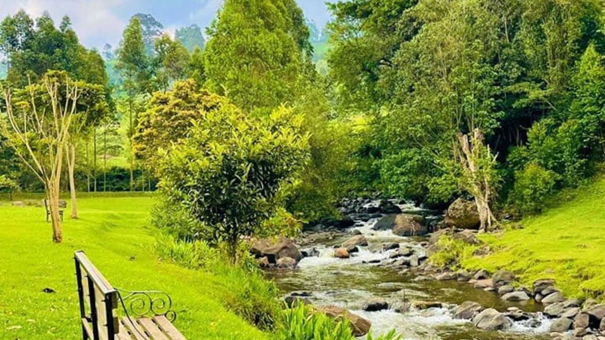 Gacharageini Hotel | Mathioya River Lodge