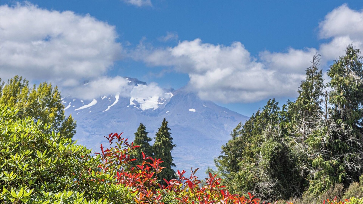 Rangataua House | Maungatapu Studio 1 - Ohakune Holiday Home