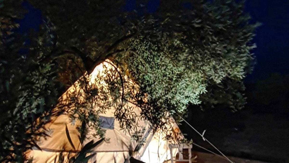 Ayvacik Hotel | Mavi Kuş
