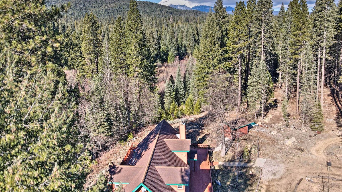 McCloud Cabin | McCloud Cabin w/3.5 Miles of Private Hiking!