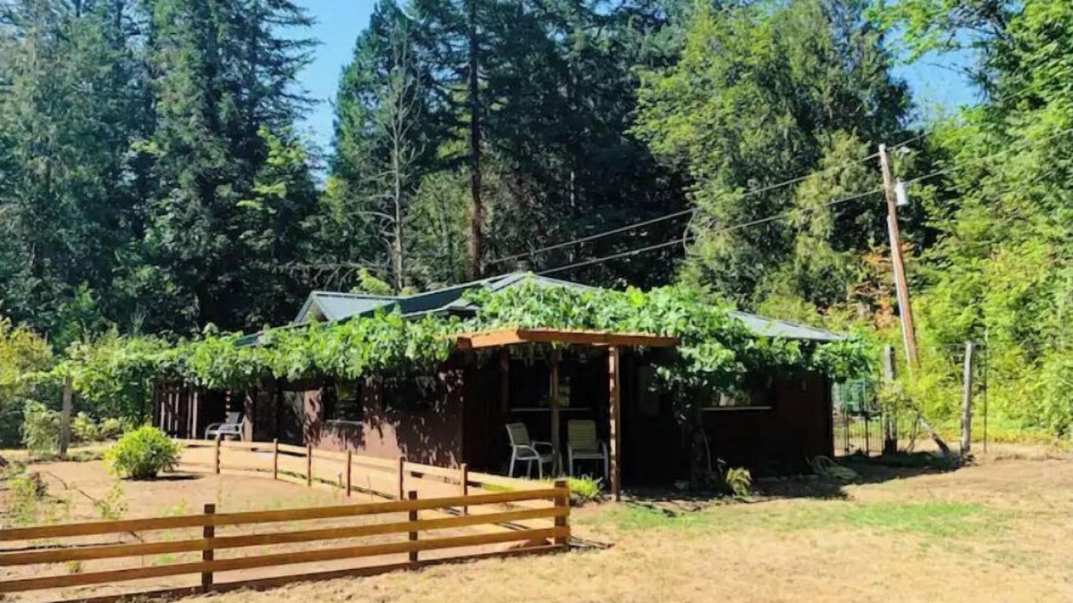 McKenzie Bridge House | McKenzie Grapevine Hideaway—private mini villa