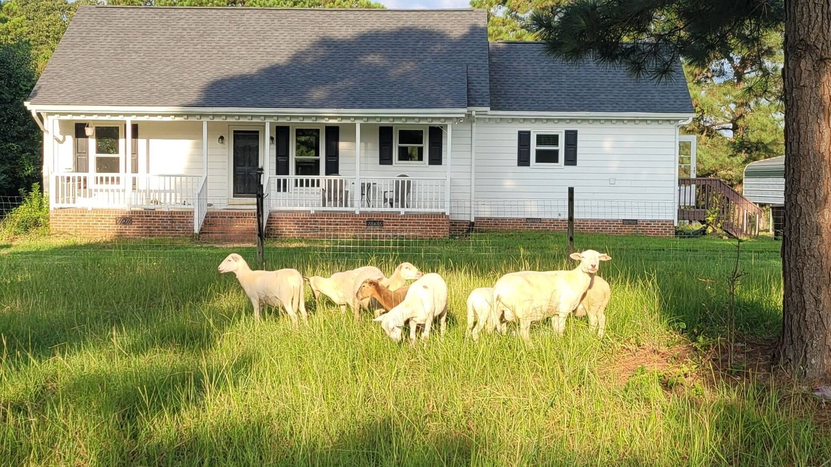 Kipling Other | Meadow Farm in Holly Springs, NC
