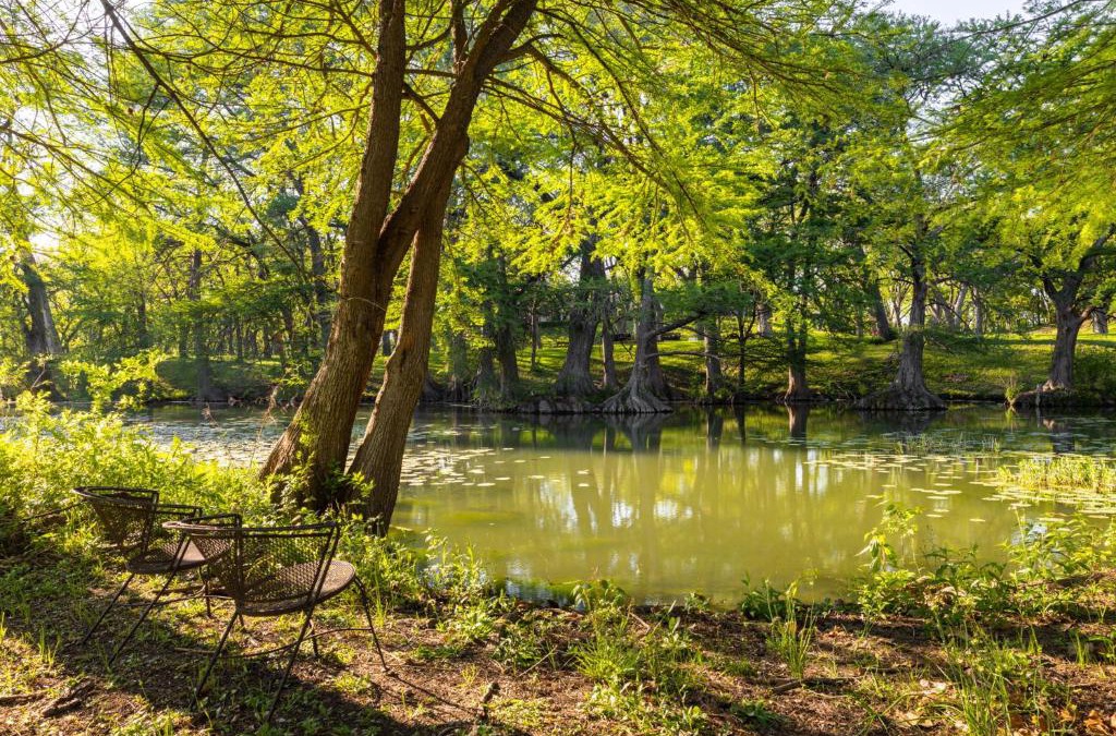 Castroville Apartment | Medina River Historic Cottage