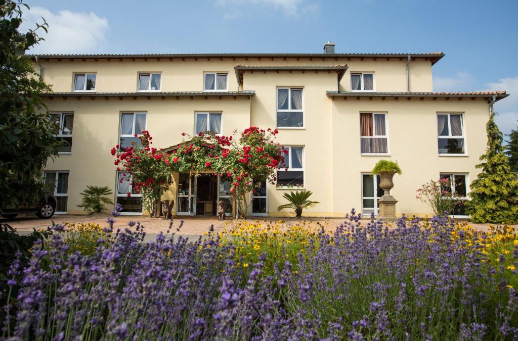 Dettingen Hotel | Mediterran Hotel Juwel