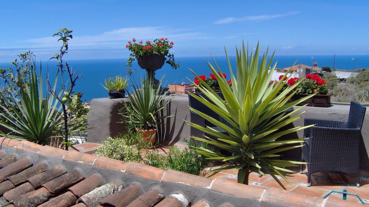 El Guincho Apartment | Mediterranean holiday home with small patio-terrace