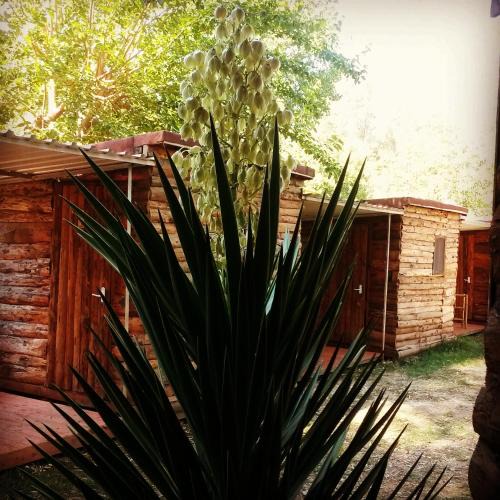 Patara Other | Medusa Camping