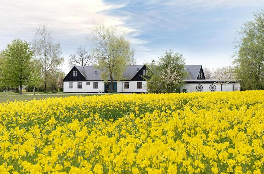 Kivik Bed & Breakfast | Mellby Atelier på Österlen