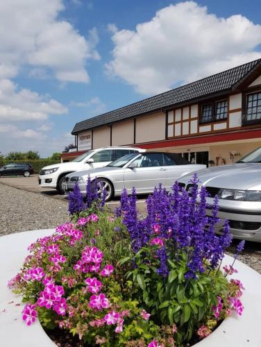Herringhausen Apartment | Memorie1 Lust auf Zuhause Ferien in der Provinz