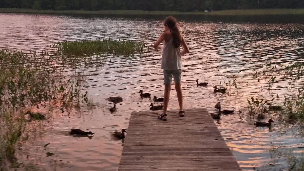 Franklin House | Memories Made Here -Maine Loon House-AcadiaNP/Downeast-Lakefront-WiFi/TVs-Kayaks