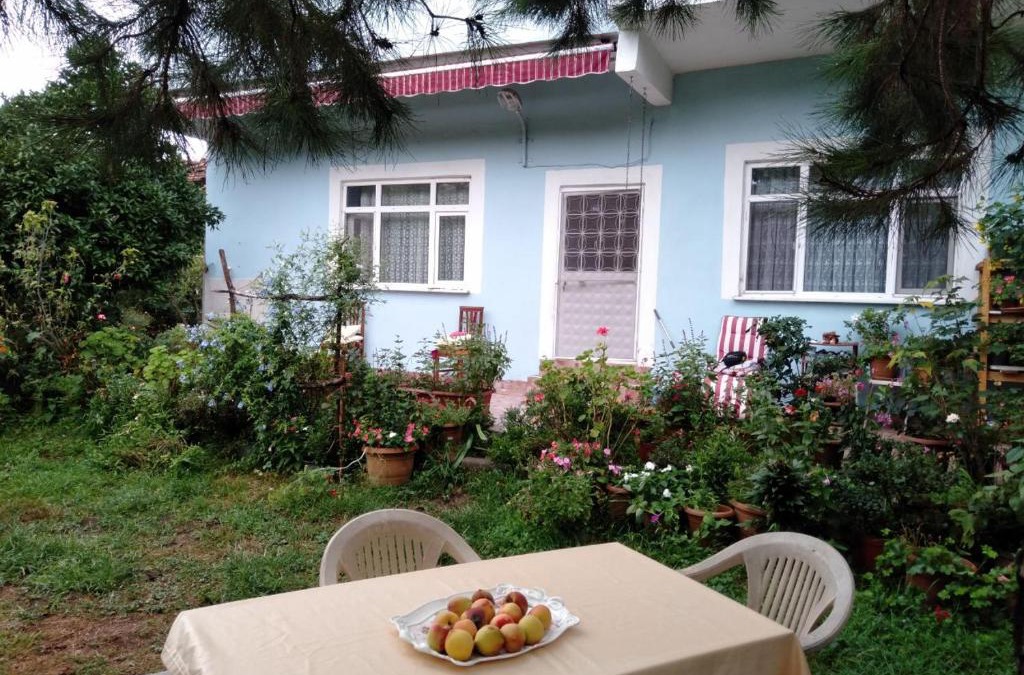 Ardesen Apartment | MERDOĞLU MALİKANESİ
