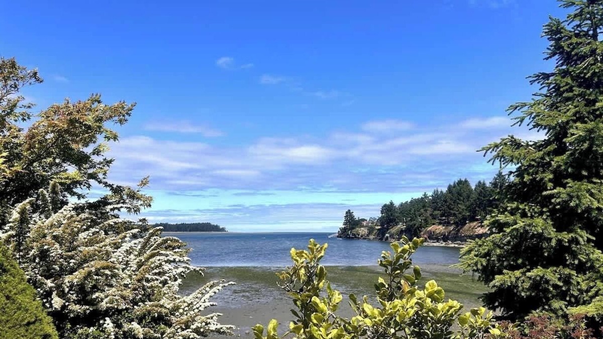 Regional District of Nanaimo Apartment | Mermaid Cove - Oceanfront Suite - 2BDRM - Kitchen