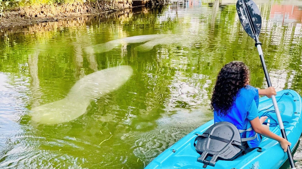 Weeki Wachee Gardens House | MERMAID TAILS-Family Friendly-CLEAR KAYAK-EARLY CHECK-IN & LATE CHECKOUT AVAIL!