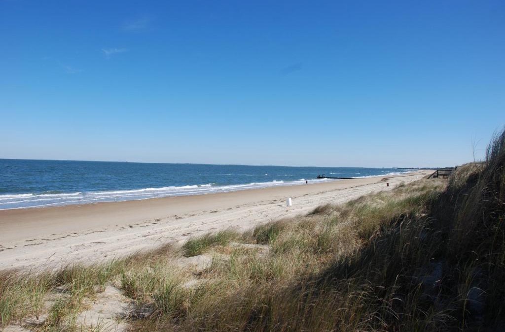 Norfolk - Virginia Beach House | Mermaids & Mutts bungalow
