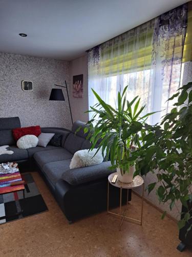 Torva Apartment | MetsaKodu