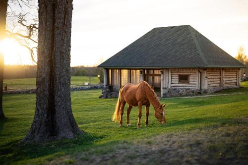 Jogeva Parish House | Metsapiiga Puhkemaja