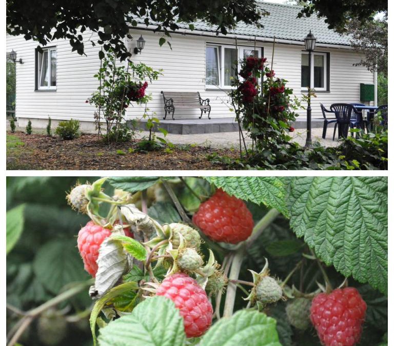 Sadurki House | Miód Malina