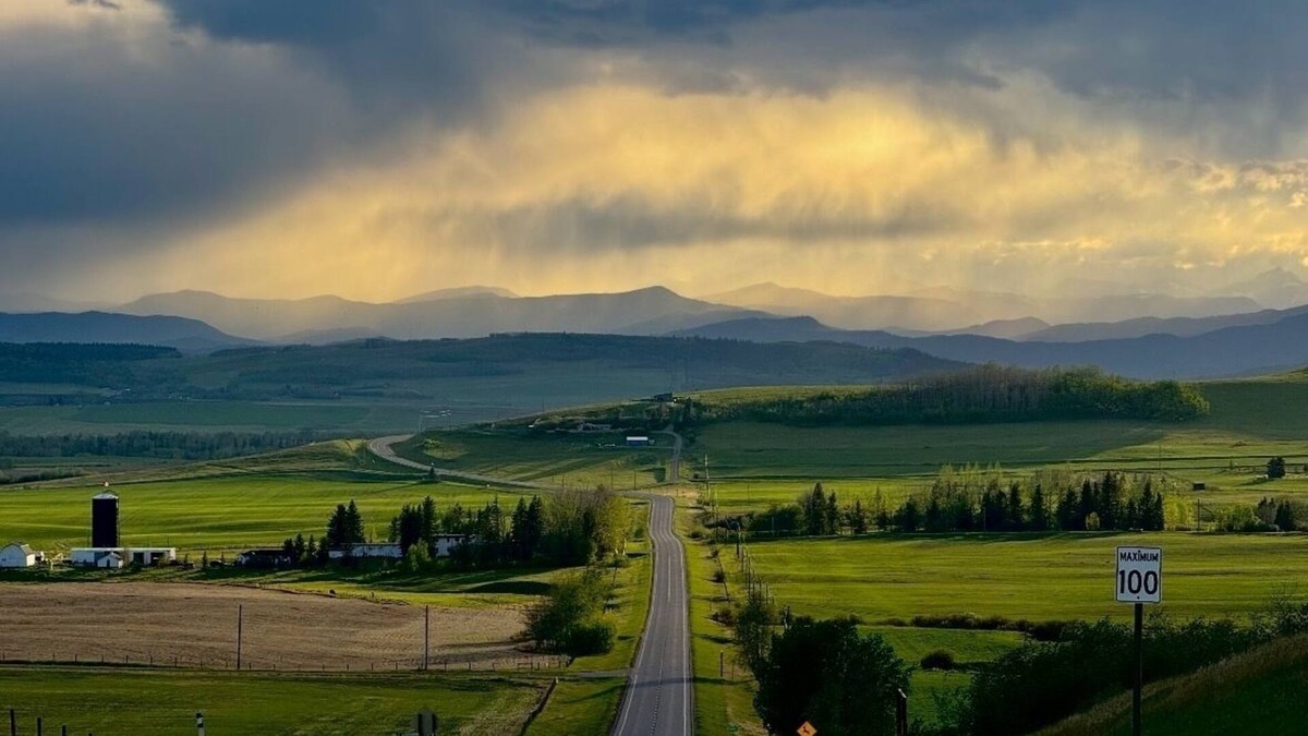 Calgary Other | Mid- Century Modern Farm, Saltwater pool, hot tub, sauna, cold plunge and gym
