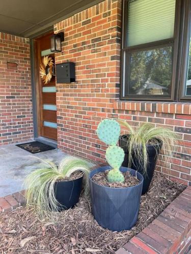 Norman House | Mid-West Mod - 5br - Central Norman - Near OU!