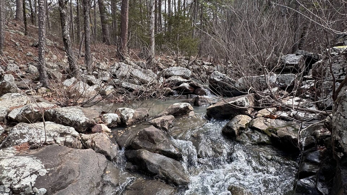 Muse Cabin | Midnight Ride conveniently located to the trails. New Construction new listing