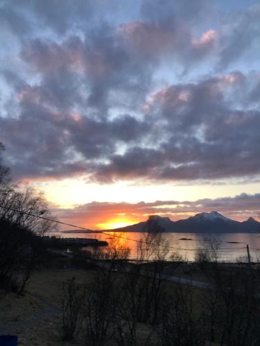 Bodo House | Midnight Sun Road