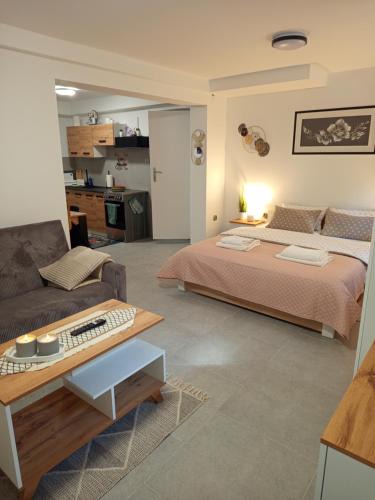 Olecko House | Mieszkanie do wynajęcia w Centrum