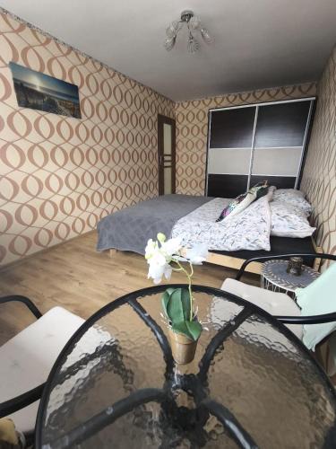Jelenia Gora Apartment | Mieszkanie Jelenia