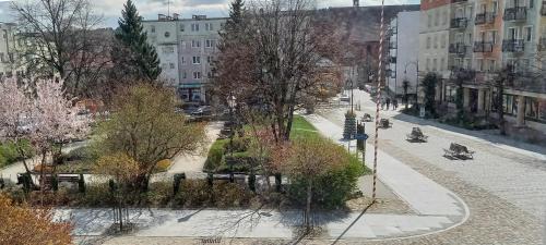 Lidzbark Warminski Apartment | Mieszkanko w centrum