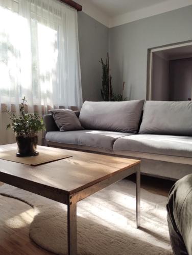 Mikoow Apartment | MIKO apartament